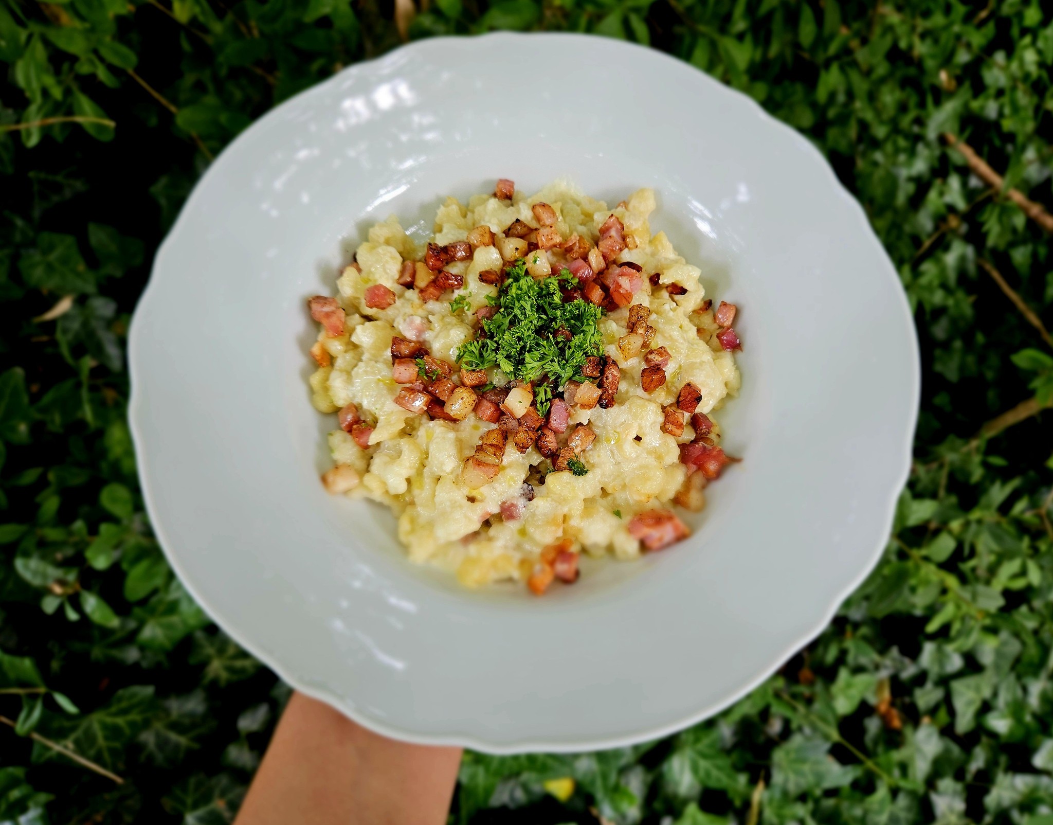 Bohemia Restaurant Interior